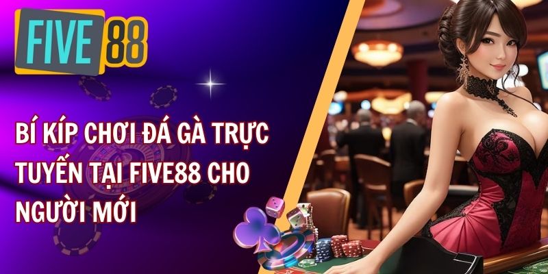 Tìm hiểu về đá gà trực tuyến tại FIVE88